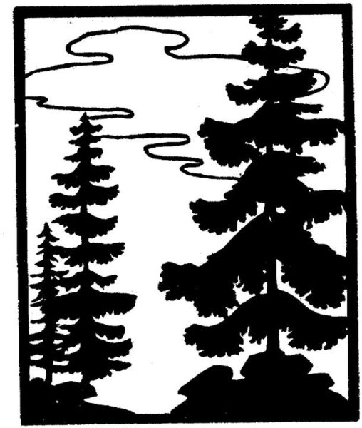 cedartrees